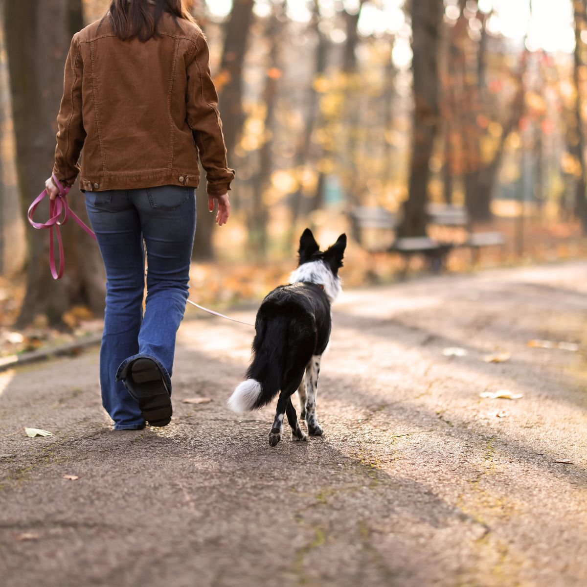 Energy & Health - Suzy Cohen