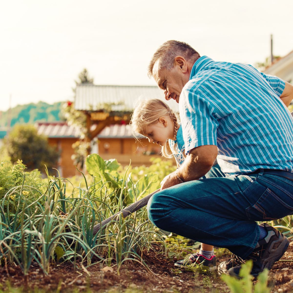 Joint Care - Suzy Cohen