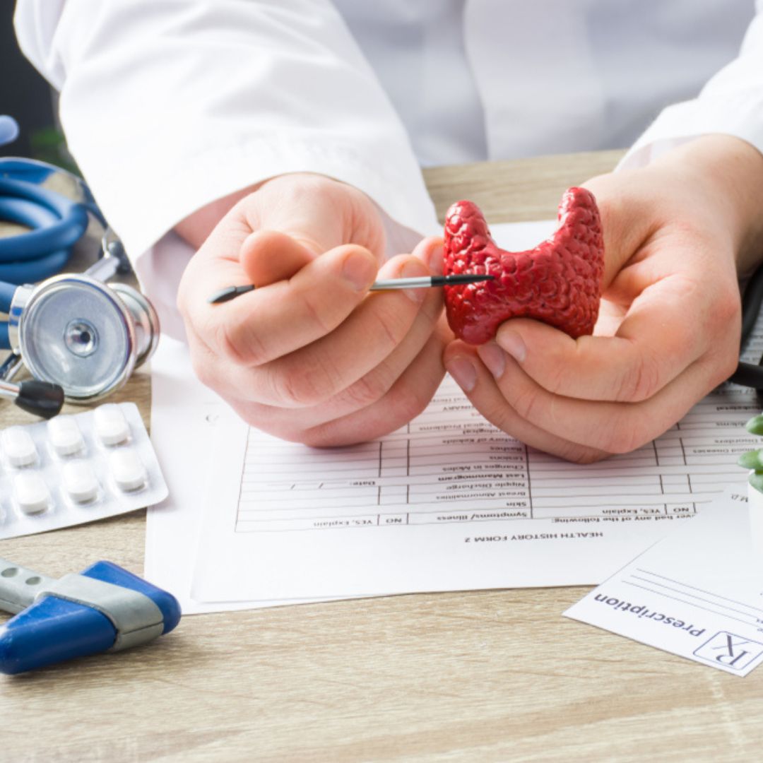 Thyroid & Metabolism