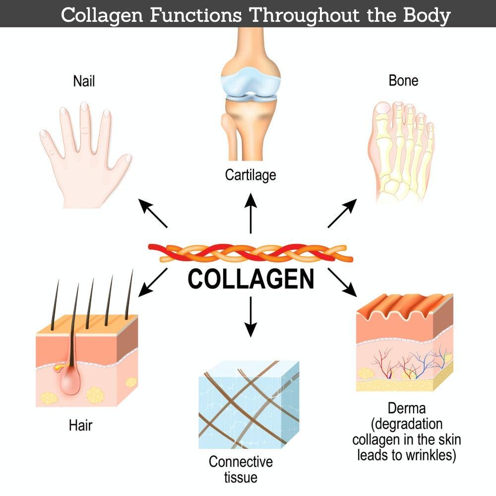 Collagen Beauty Bundle - Suzy Cohen
